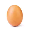 _egg_110