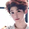 fancjyuis