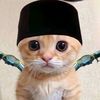 user2993490249