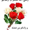 laila_201327