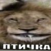 vol_2343
