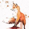 _fox_loves_music_