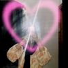 user8611728162061