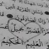 abdallah.abdelfat5