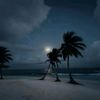 aliimohamed557