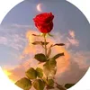 user3341805227488