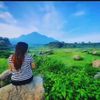 savinzhan
