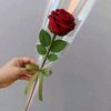 user9791214806859