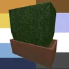 bush_034