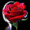 abuahmad7395