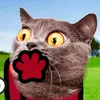 Animated Cat 🙀