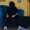 01_pollozx