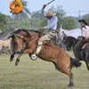 emanuelgodoy086