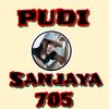 pudisanjaya705
