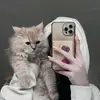 hisnsgsjnsvbbdbdb