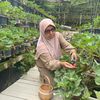 rohana.rahim2