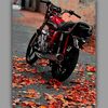 1 2 5 LOVER