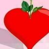 user6227201635142