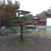 hebo08