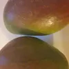 cloviecik_oki