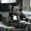roxy76212