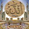 sall7815
