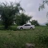 t_ari_711