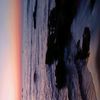 rima_rima76