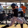 baseballgoat017