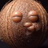 coconutsugar30