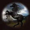ahmed.alauzre