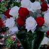 halem6958