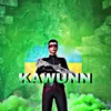 kawunn_ua