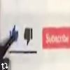 ethan_seagul