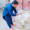 umar.khitab6986