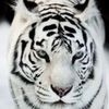shariza.sherry