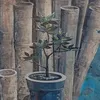 ten_ten727