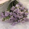 nrliza77._