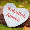 rohullahameen06