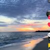 restiolivia.l