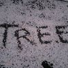 treeleaf633