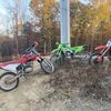 richardreynolds264