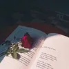 amar.amar4598