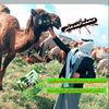 user7914048709029