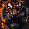 ateh_5262909