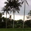 johnirawan2