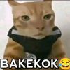 kyz_nihdeck