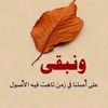 user7392829233700