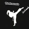 taekwondogirl13
