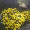 andreea.ionescu01